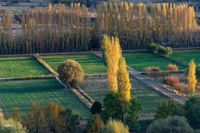 پاییز زیبای طالقان