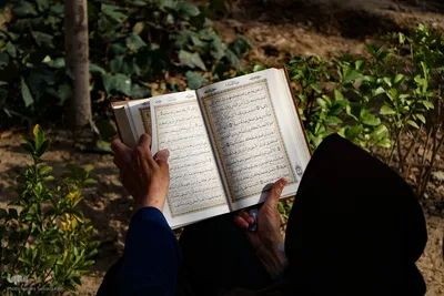 آیین جزءخوانی قرآن کریم در چهارباغ اصفهان