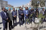 غرس نهال به یاد رهبر شهید و دانش‌آموزان میناب در زاهدان