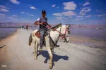 روز شیراز‎