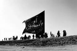 Iraqis Marching toward Karbala for Arbaeen