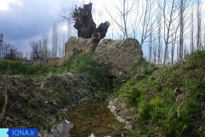 خودنمایی بهار در ارومیه
