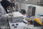 تشکیل دبیرخانه ملی کمیته‌های علمی و نخبگانی در دانشگاه خلیج‌فارس بندر بوشهر