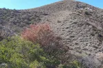 طبیعت زیبای پاییزی رشته کوه‌های جنوبی اهر