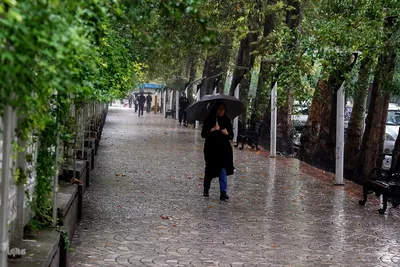 بارش باران پاییزی در شیراز
