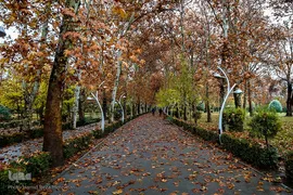 یک روز پاییزی بارانی