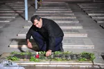 اینجا شمعی روشن است 
