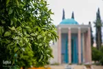 اول اردیبهشت روز سعدی شیرازی‎‎