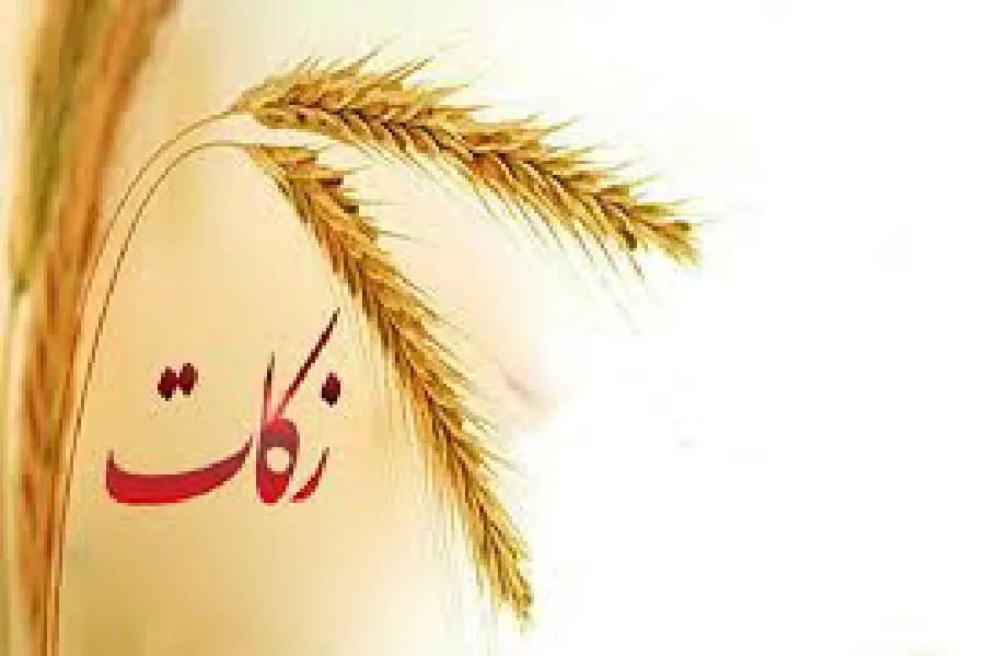زکات پرداختی مردم چهارمحال‌وبختیاری به ۲۰ میلیارد تومان رسید