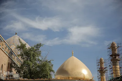 زائران حرم امامین عسکریین(ع)