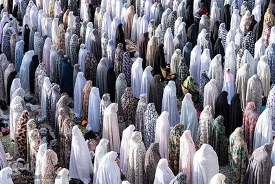 نماز عید فطر در امامزادگان محمد (َع) و سکینه خاتون (س) کرج‎‎