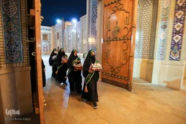 سیب بهشتی‎‎