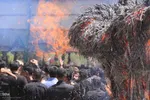 سوگواری شیرازی‌ها در روز عاشورا