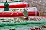 کلیپ | یادواره شهدای غریب شهرستان بروجن