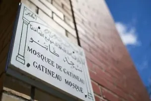 کبک