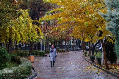 یک روز پاییزی بارانی