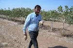 تور رسانه‌ای بازدید از دستاوردهای کشاورزی و دامپروری شهرستان اسکو‎