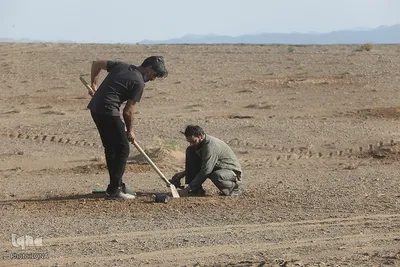 غرس نهال در روز طبیعت