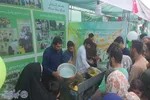 جشن بزرگ محفل قرآنی علویون در ساحل دریای بابلسر
