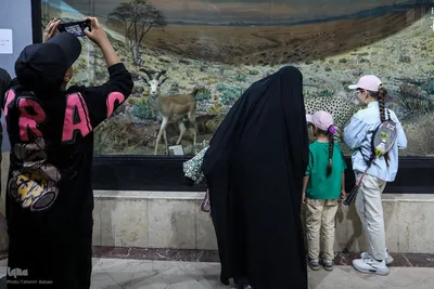 همایش پیاده‌روی خانوادگی جهادگران جهاد دانشگاهی