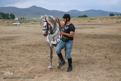 سفر وزیر ورزش و جوانان به شهرستان اهر