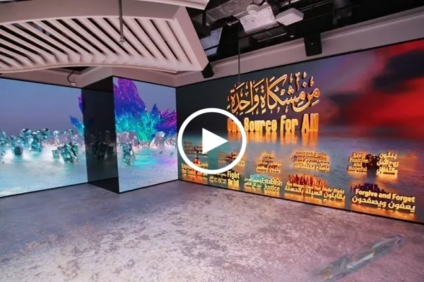 بالفيديو...معرض 