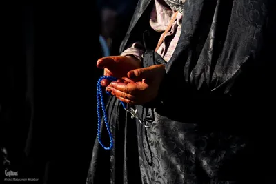 مهمانی لاله ها در کرج‎