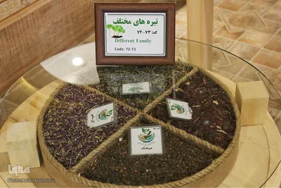 باغ موزه گیاهان دارویی و معطر زنجان
