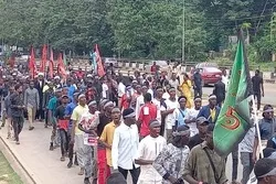 Waislamu Nigeria, Tanzania washiriki maombolezo ya Arabeen ya Imam Hussein AS