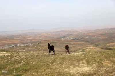 رنگین‌کمان رنگ‌ها در سرزمین ارسباران