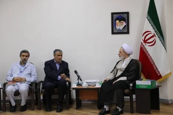دیدار رئیس سازمان انرژی اتمی با آیت‌الله اعرافی