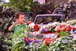 نمایشگاه گل و گیاه - محلات/عکس:محمد رجبی