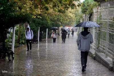 بارش باران پاییزی در شیراز