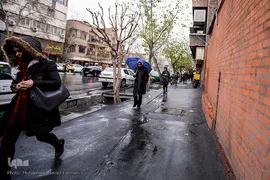 بارش باران در تهران
