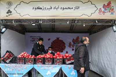 آیین افتتاح دهمین جشنواره «انار صد دانه یاقوت»