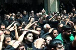 آیین نخل برداری هیئت حسینی نظرکرده یزد‎