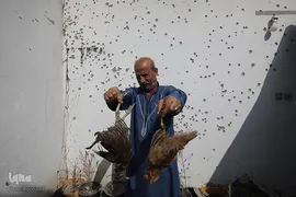 تجاوز نظامی صهیونیستها به نوار غزه