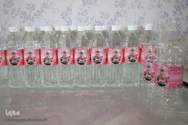 برداشت گل محمدی از مزارع موقوفه آستان مقدس حضرت معصومه(س)