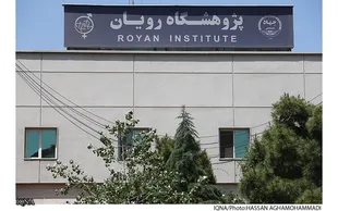 برگزاری هفدهمین مدرسه تابستانی رویان