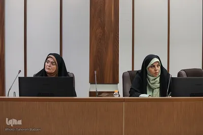 نشست خبری محمودرضا برازش، مدیرعامل بنیاد بین‌المللی ملی فرهنگی امام رضا علیه السلام