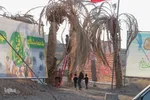 نمایشگاه فتح قله‌ها در بیرجند