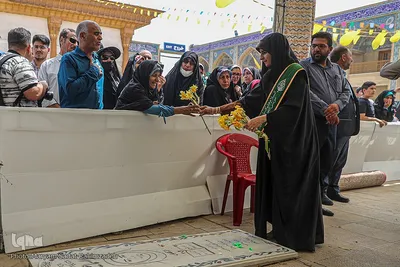شادپیمایی دختران در شیراز