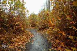 پاییز در جاغرق