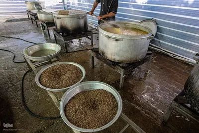خدمت‌رسانی گسترده به زائران اربعین حسینی در مسیر عبور از ایلام