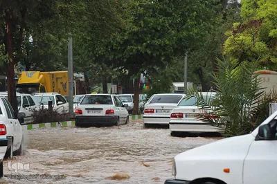 بارش باران و آبگرفتگی معابر - بیرجند