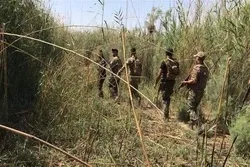 د سامرا په جنوب کې د داعش ۶پټنځایونو کشف او ویجاړول