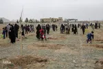 پویش سراسری درختکاری - مشهد
