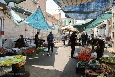 زندگی در دمای 50 درجه