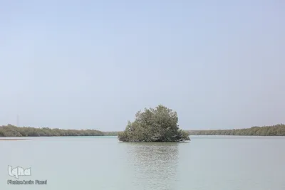 طبیعت صفر مرزی چابهار