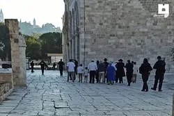 3.597 Zionis Masuk Secara Ilegal ke Masjid Al-Aqsa/ Peringatan Situasi Kritis Kiblat Pertama